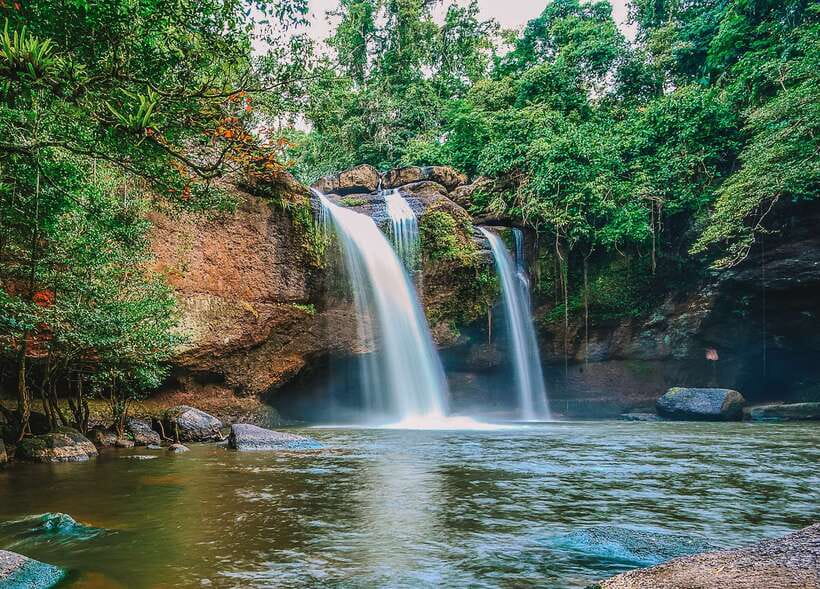 From Bangkok: Khao Yai National Park Small-Group Day Trip - Park Lunch at the Canteen: A Simple Reset