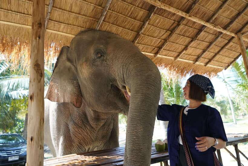 From Bangkok: Living Green Elephant Sanctuary Day Trip - Time, group size, and what makes the day feel organized