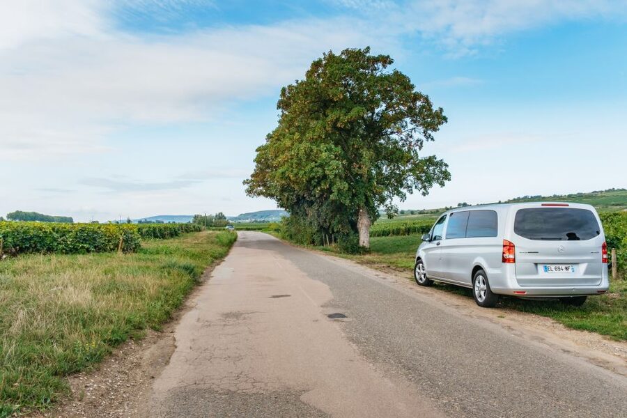 From Beaune: Burgundy Day Trip with 14 Wine Tastings - Drinks, Roads, and Timing: How the Day Feels in Real Life