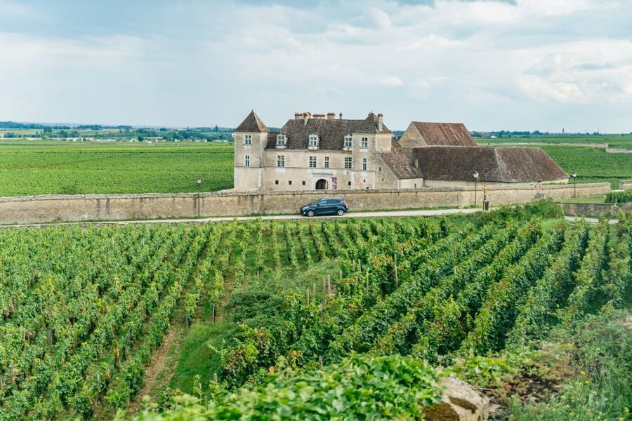 From Beaune: Burgundy Day Trip with 14 Wine Tastings - Winery Visit Near Beaune: Village vs 1er Cru, Explained Through Taste