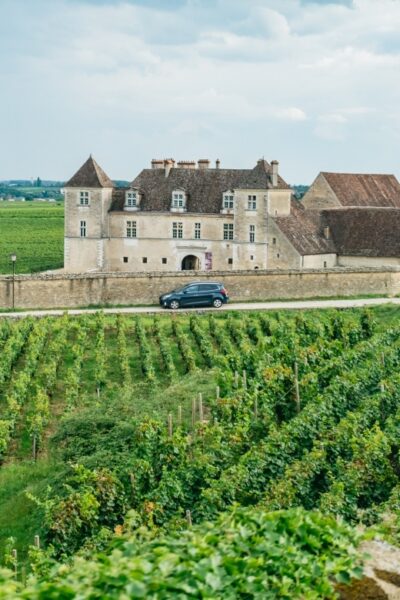 From Beaune: Burgundy Day Trip with 14 Wine Tastings - The 9:30 AM Start: Getting Oriented Before You Taste