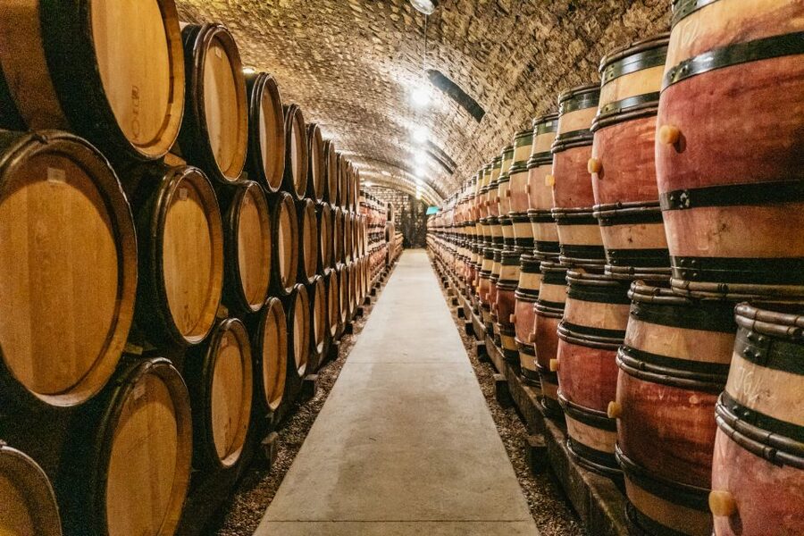 From Beaune: Burgundy Day Trip with 14 Wine Tastings - Nuits-Saint-Georges: Cellar Time With a Winemaker and Pinot Noir Focus