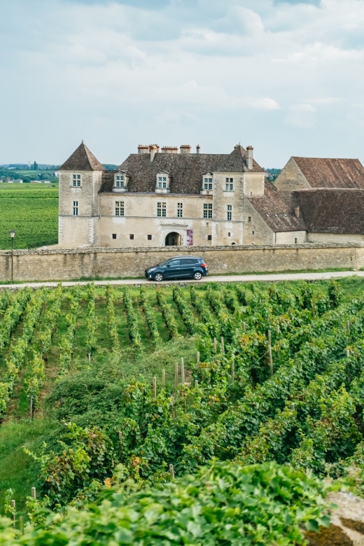 From Beaune: Burgundy Day Trip with 14 Wine Tastings - The 9:30 AM Start: Getting Oriented Before You Taste