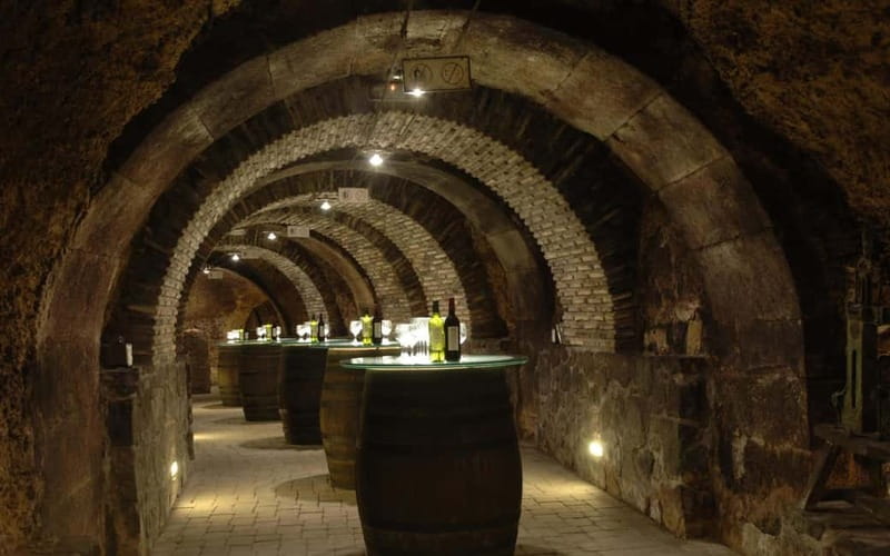 From Bilbao: La Rioja Wineries Day Trip with Wine Tastings - Rioja from Bilbao: a smart full-day plan (and why it works)