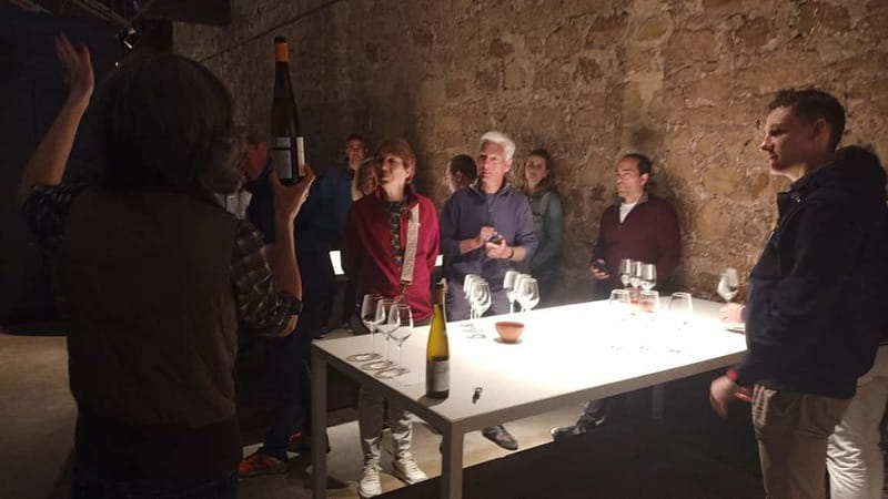 From Bilbao: La Rioja Wineries Day Trip with Wine Tastings - The pace, timing, and what to pack for a 9-hour day