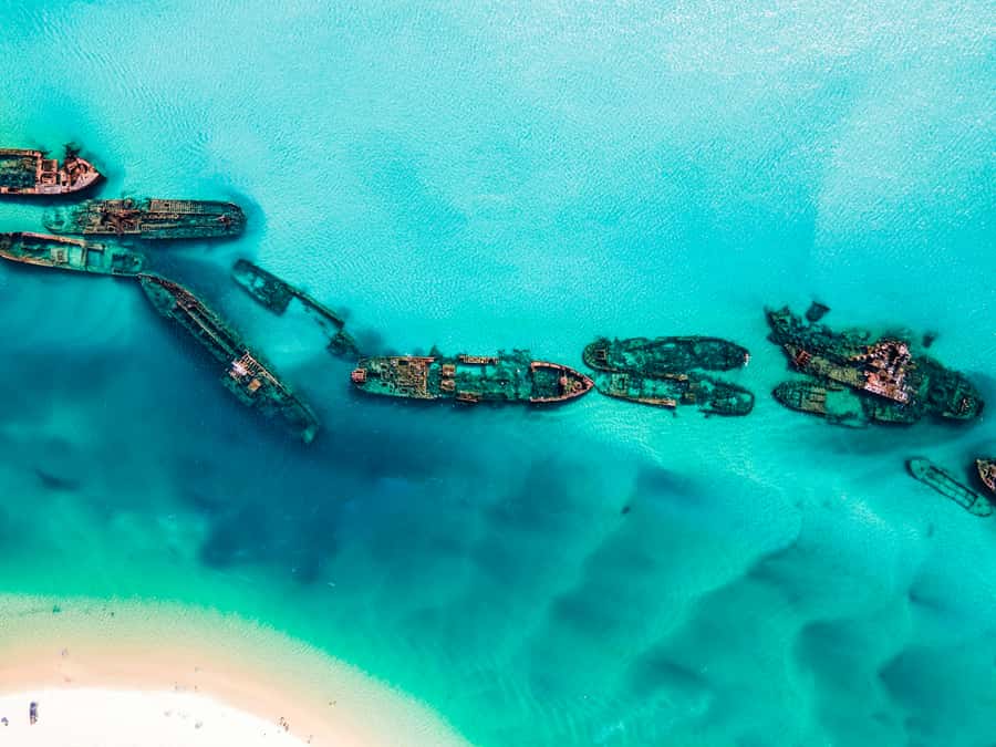From Brisbane: Moreton Island Full-Day Trip - From Brisbane to Moreton Island: the day-trip rhythm
