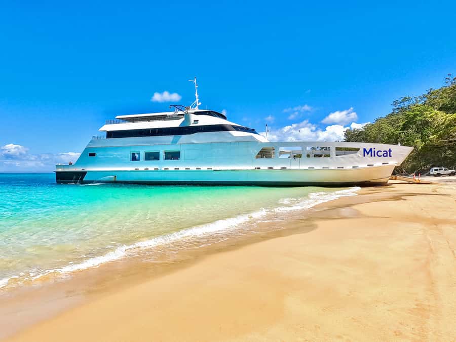 From Brisbane: Moreton Island Full-Day Trip - Transparent kayak over the Tangalooma Wrecks: what you’re really getting