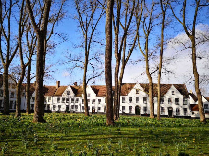 From Brussels: Bruges Day Trip with Boat Tour Option (ES) - Return to Brussels: why timing, comfort, and planning matter