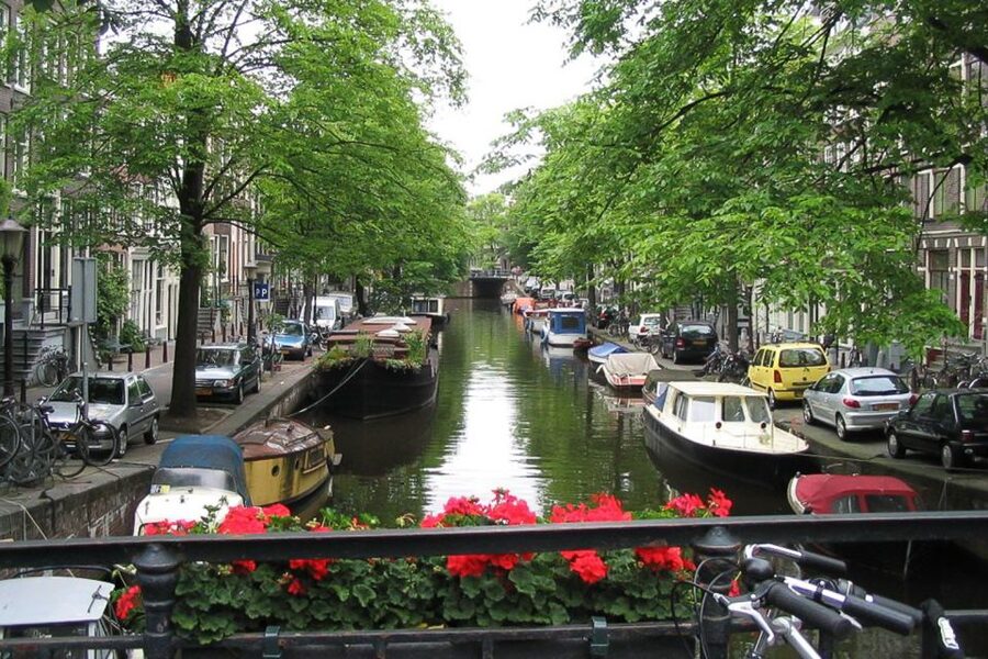 From Brussels: Cheese, Clogs & Windmills Amsterdam Day Trip - Windmill Photo Stops: Small Breaks That Make the Morning Memorable