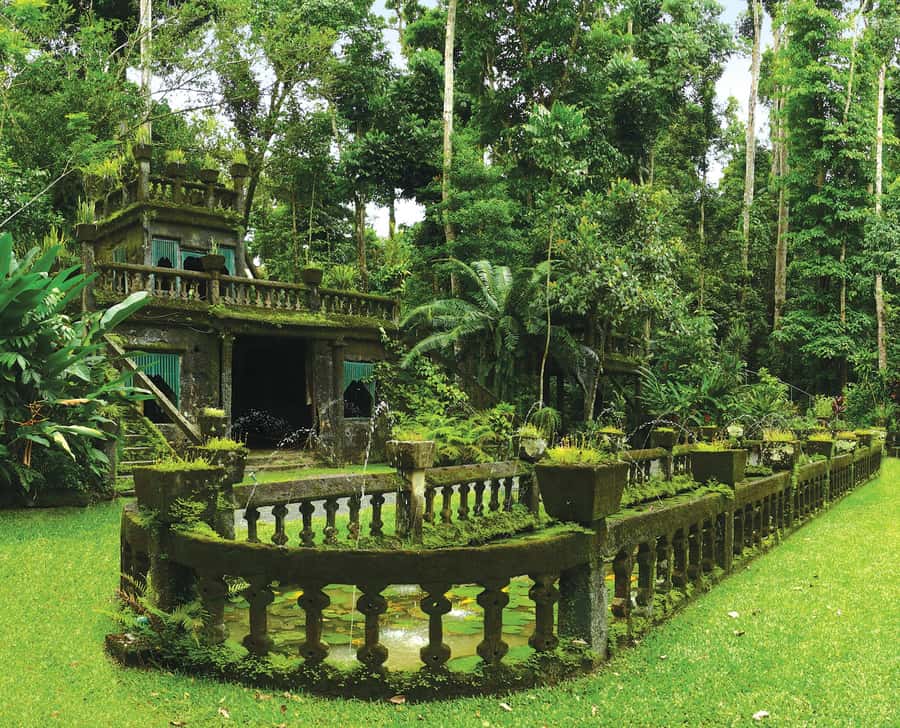 From Cairns: Atherton Tablelands and Paronella Park Day Trip - Yungaburra and the Curtain Fig Tree: wildlife spotting meets big roots