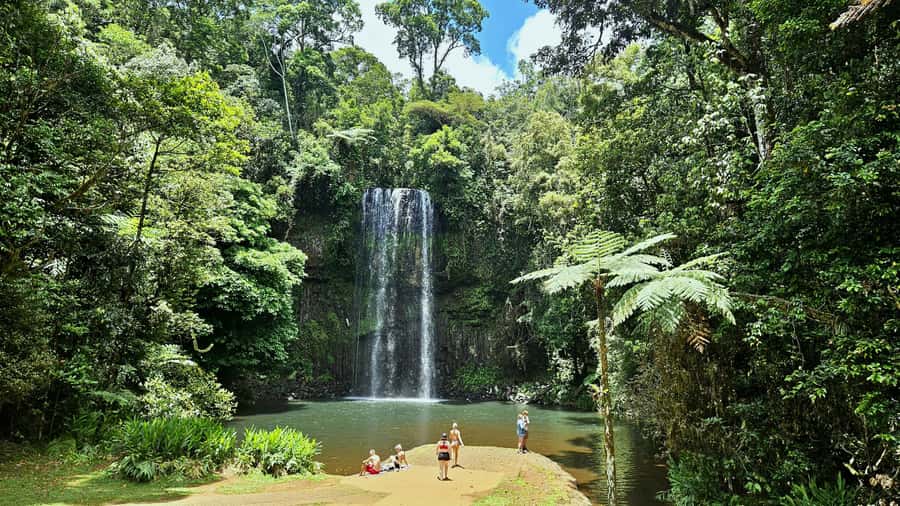 From Cairns: Atherton Tablelands and Paronella Park Day Trip - Morning logistics: pickup time versus tour start (and how to avoid stress)