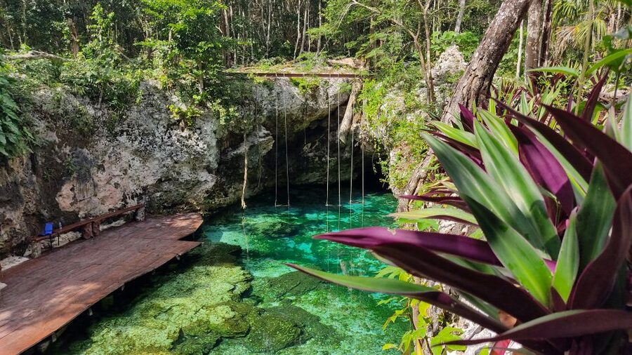From Cancun: Day Trip to Tulum, Cenote & Playa del Carmen - Price reality: what you pay for, and what you’ll need to budget