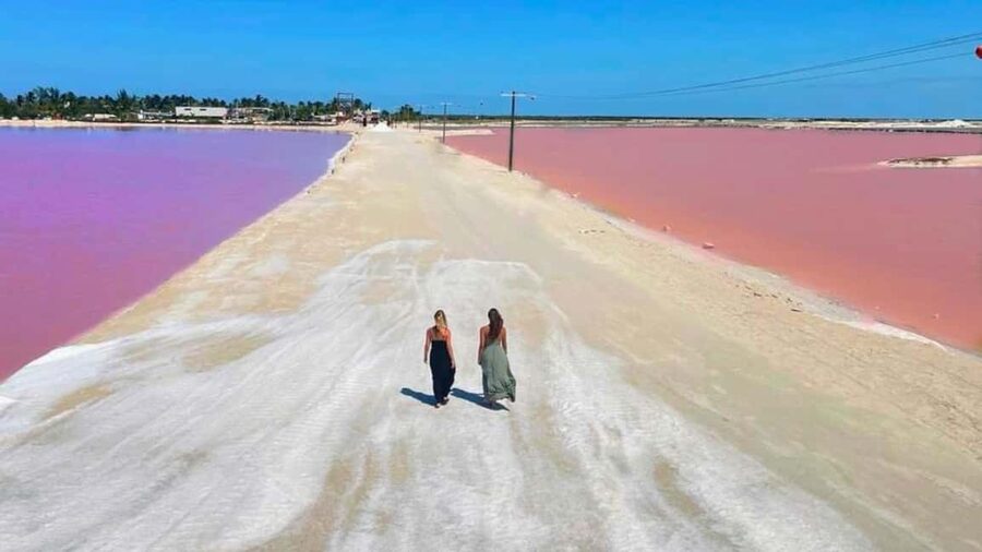 From Cancún: Rio Lagartos & Las Coloradas Day Trip & Lunch - A long day trip from Cancún that’s really two nature tours