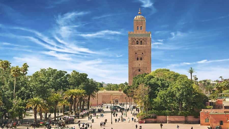 From Casablanca: Day Trip to Marrakech with Camel Ride - How This Trip Gets You From Casablanca to Marrakech Without Headaches