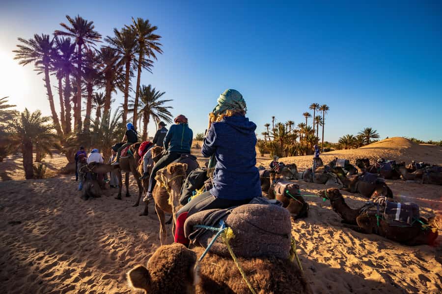 From Casablanca: Day Trip to Marrakech with Camel Ride - Medina, Mellah, and Bab Agnaou: Learning the City While You Walk