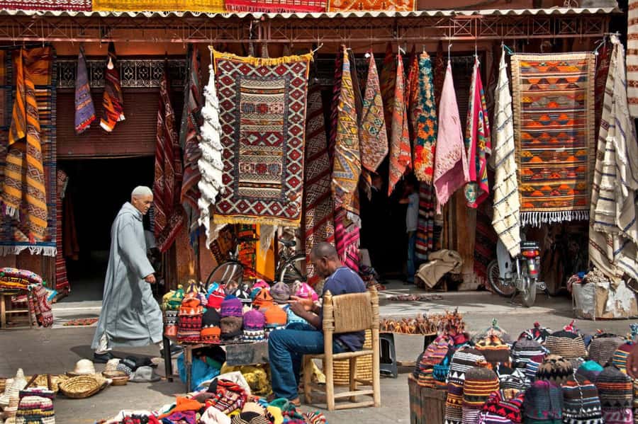 From Casablanca: Day Trip to Marrakech with Camel Ride - Lunch, Shopping, and What You Should Expect Your Day to Feel Like
