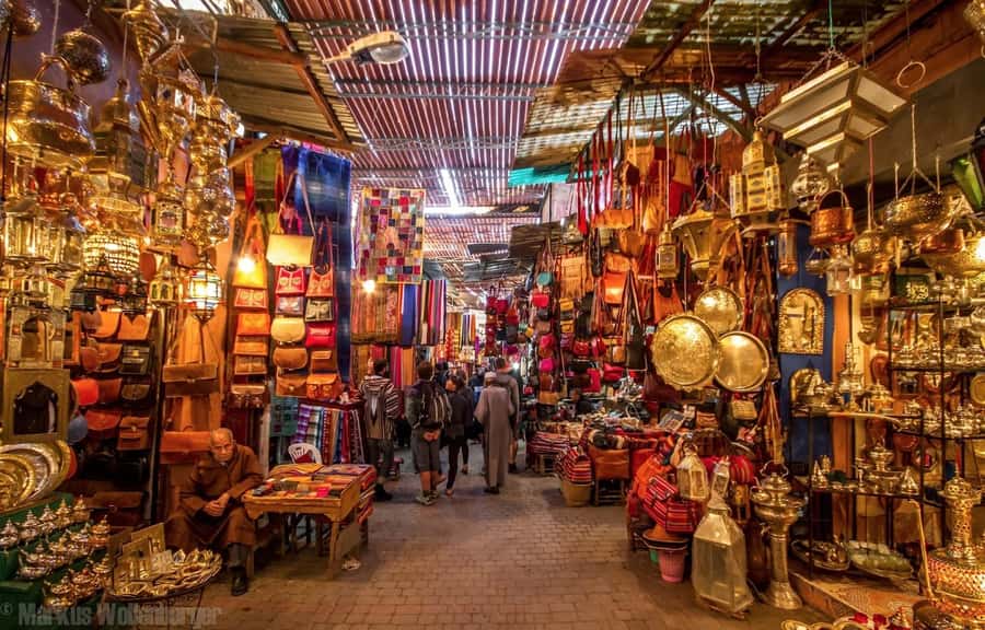 From Casablanca: Day Trip to Marrakech with Camel Ride - Casablanca Pickup and the Comfortable Ride South