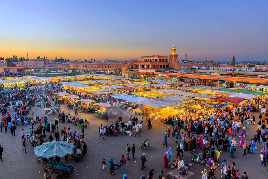 From Casablanca: Marrakech Guided Day Trip with Camel Ride - Menara Gardens: Olive Groves and Mountain Views