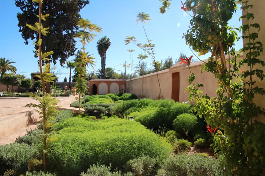 From Casablanca: Marrakech Guided Day Trip with Camel Ride - Palmeraie Camel Ride: The 30 Minutes That End the Day Right