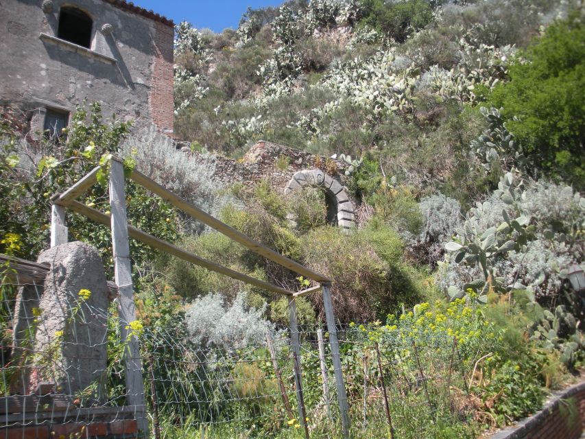 From Catania: The Godfather Movie Day Trip in Sicily - Lunch Timing: How to Handle Food Without Losing the Day