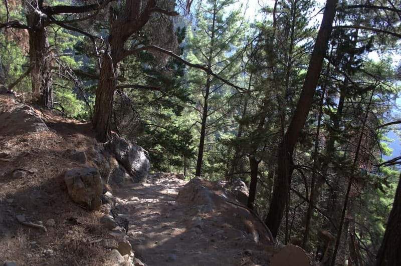 From Chania/Kalyves: Full-Day Samaria Gorge Hiking Day Trip - Who should book Samaria Gorge (and who should skip it)