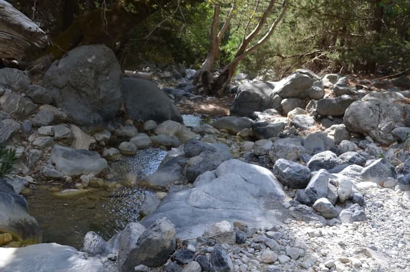 From Chania/Kalyves: Full-Day Samaria Gorge Hiking Day Trip - Stop for breakfast at Omalos: optional fuel that helps more than you’d think