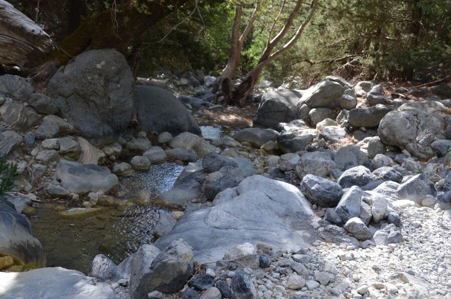 From Chania/Kalyves: Full-Day Samaria Gorge Hiking Day Trip - Agia Roumeli finish: swimming, lunch, and the best kind of exhaustion
