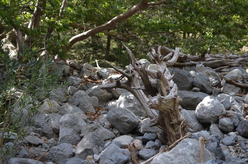 From Chania/Kalyves: Full-Day Samaria Gorge Hiking Day Trip - Price and value: what you pay, and what you’ll add on site