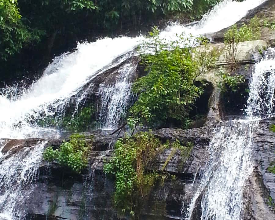 From Chiang Mai: Doi Inthanon National Park Day Trip & Hike - The twin royal pagodas and the Hmong Market stop