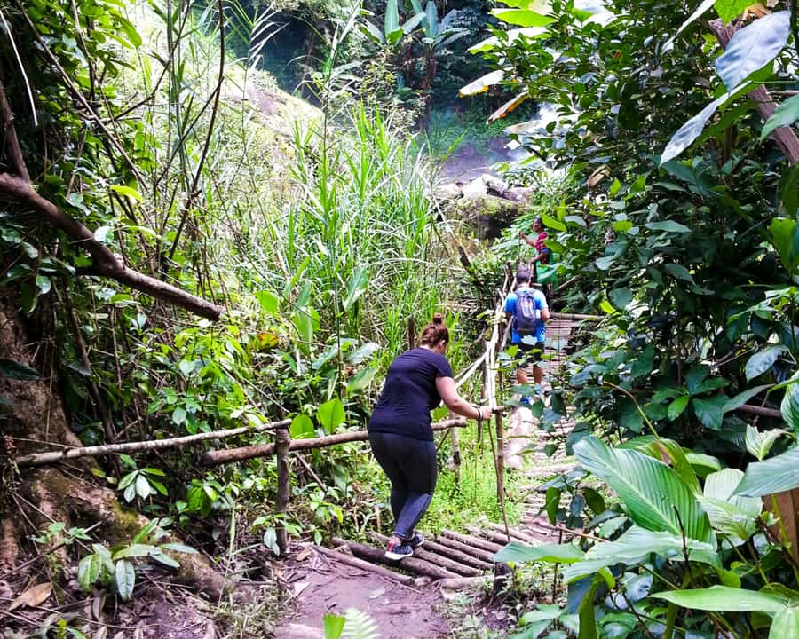 From Chiang Mai: Doi Inthanon National Park Day Trip & Hike - Mae Klang Luang: a guided look at the mountain-community side