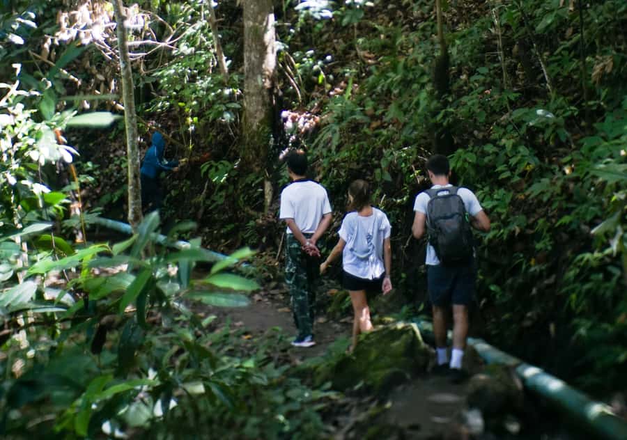 From Chiang Mai: Doi Inthanon National Park Day Trip & Hike - Karen Hill Tribe Village coffee: the pause that feels most personal