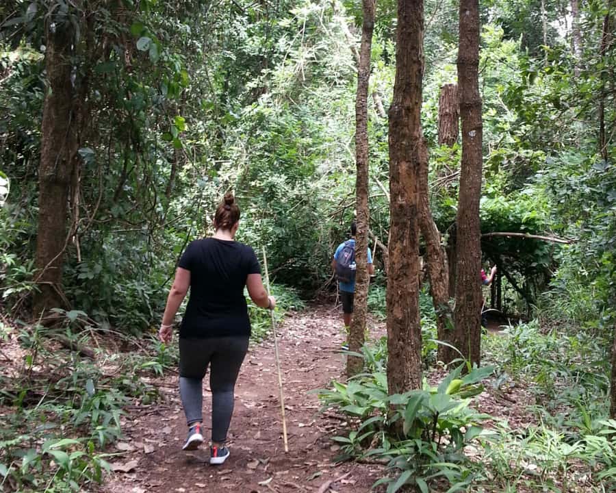 From Chiang Mai: Doi Inthanon National Park Day Trip & Hike - The guides: why English storytelling changes the whole day