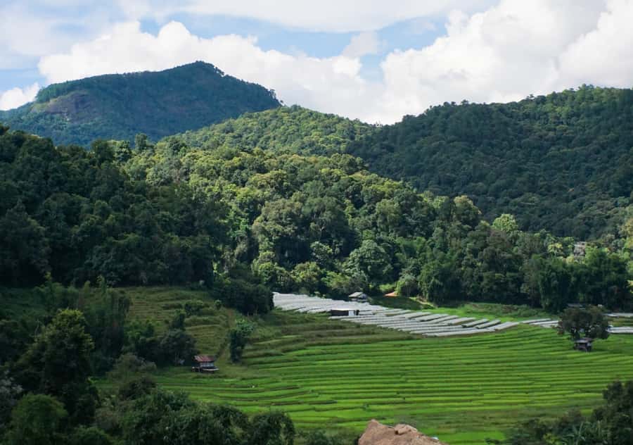 From Chiang Mai: Doi Inthanon National Park Day Trip & Hike - How the day feels: pickup, drive time, and pacing