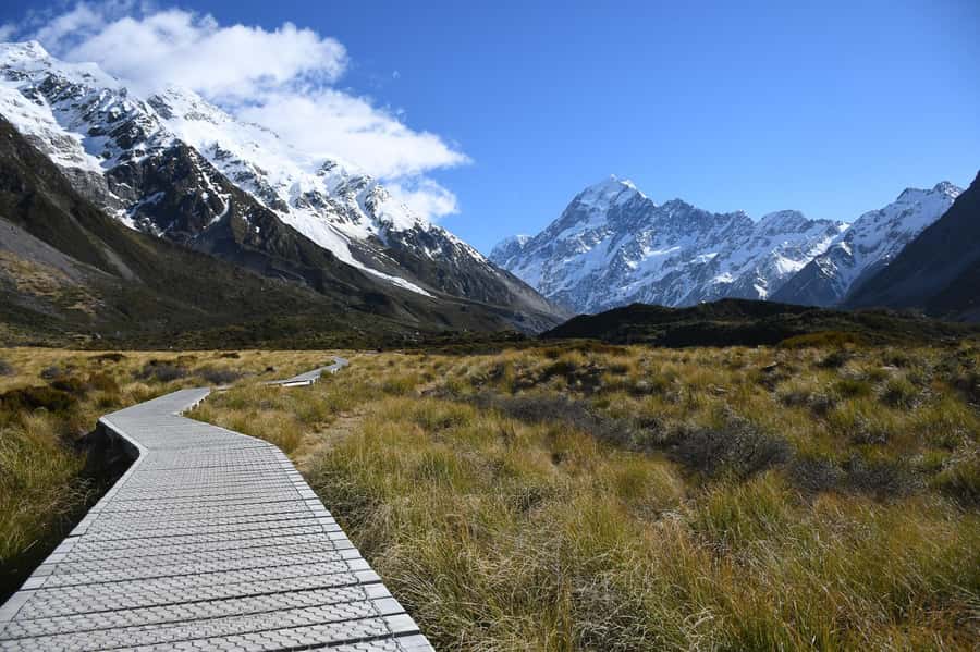 From Christchurch: Queenstown via Tekapo & Mt Cook Day Trip - Fairlie Bakehouse pie lunch: why this stop matters more than it looks