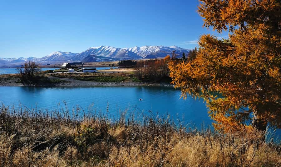 From Christchurch: Queenstown via Tekapo & Mt Cook Day Trip - Aoraki Mt Cook National Park: your real decision is the time split