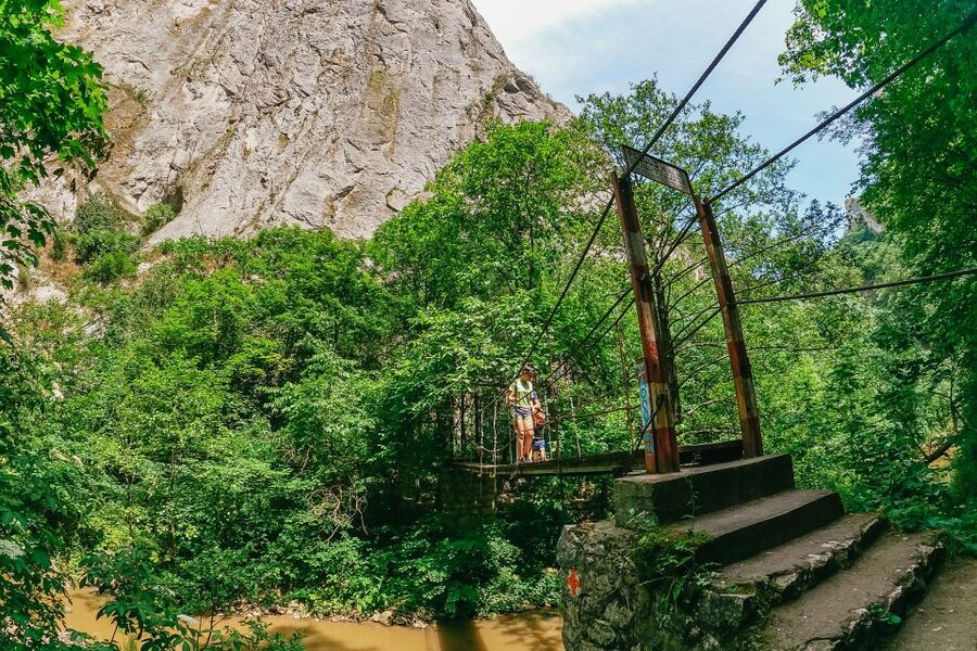 From Cluj: Turda Salt Mine, Gorge, and Remetea Full-Day Trip - Why This One-Day Cluj Combo Feels Worth It