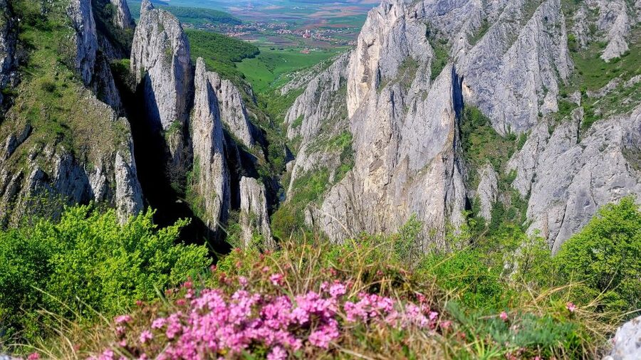 From Cluj: Turda Salt Mine, Gorge, and Remetea Full-Day Trip - Rimetea Village: White Houses, Green Windows, and Slower Time