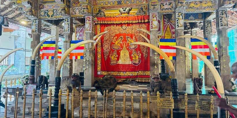 From Colombo: Kandy Full-Day Trip - Why this Colombo-to-Kandy day feels different
