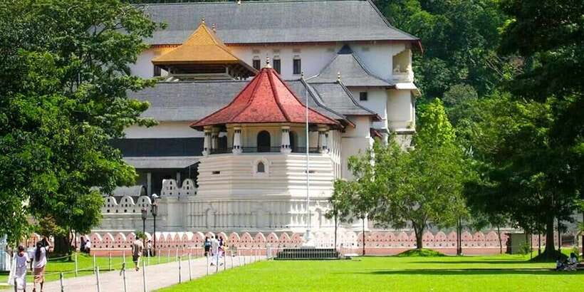 From Colombo: Kandy Full-Day Trip - How the driver-guide system keeps a shared day trip on track