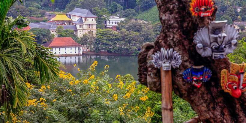 From Colombo: Kandy Full-Day Trip - Royal Botanic Gardens in Kandy: your one relaxing stretch