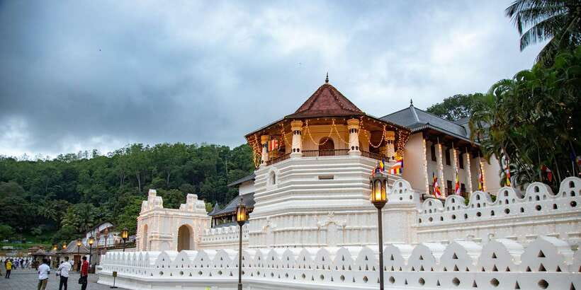 From Colombo: Kandy Full-Day Trip - Pinnawala elephant bath: the stop with the biggest wow factor