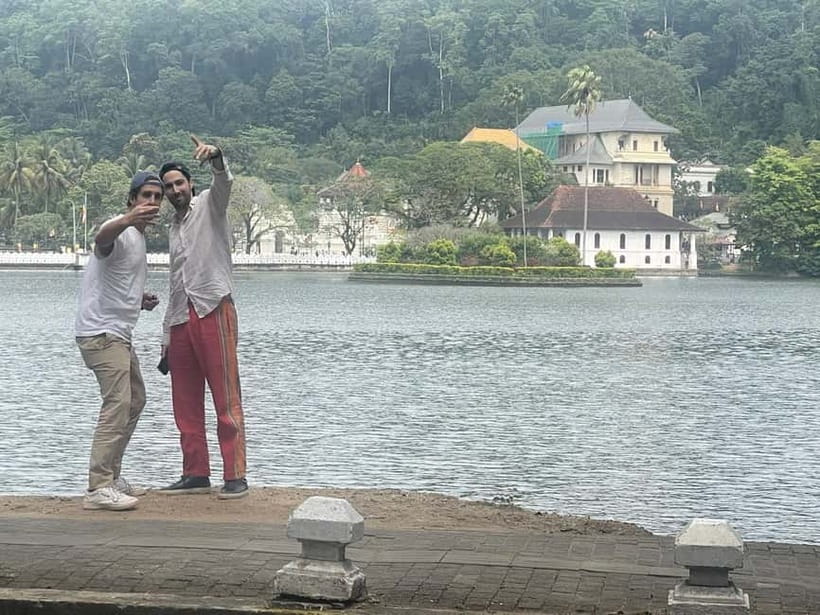 From Colombo: Kandy, Pinnawala and Tea Factory Full-Day Trip - Key points before you go