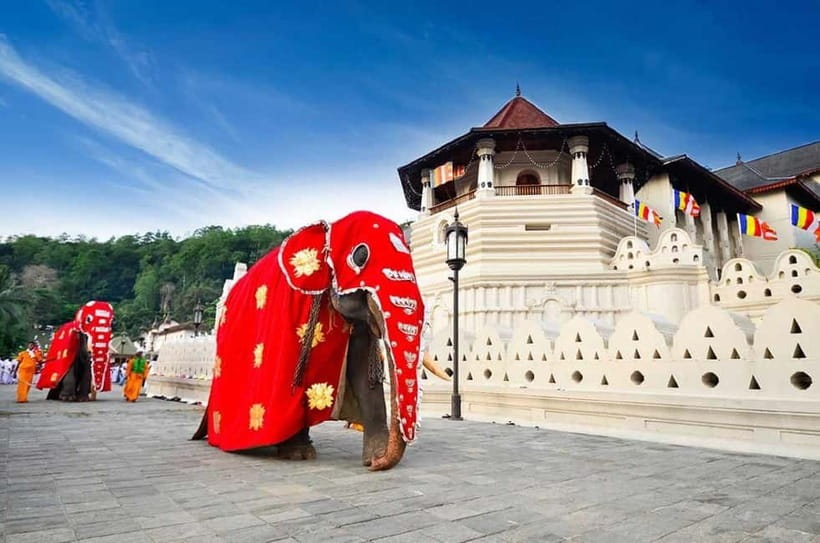 From Colombo: Kandy, Pinnawala and Tea Factory Full-Day Trip - Pinnawala Elephant Orphanage: River-Time Magic (and a Fee Check)