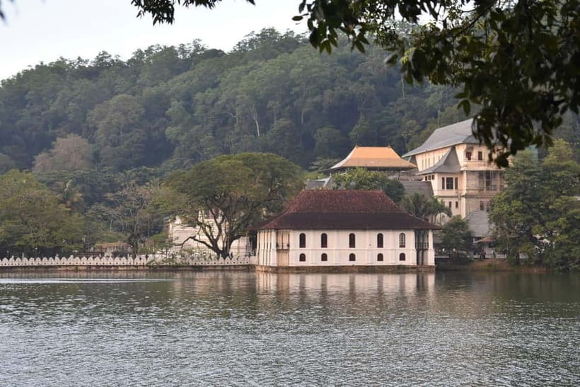 From Colombo: Kandy, Pinnawala and Tea Factory Full-Day Trip - Price and Logistics: What $51 Really Covers