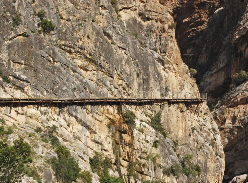 From Costa del Sol: Caminito del Rey Day Trip - Price and value: what about $100 gets you
