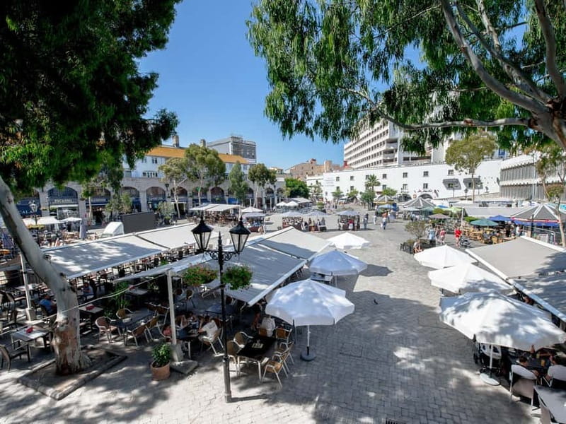 From Costa del Sol: Gibraltar Day Trip with Free Time - What the guides and drivers add to the value