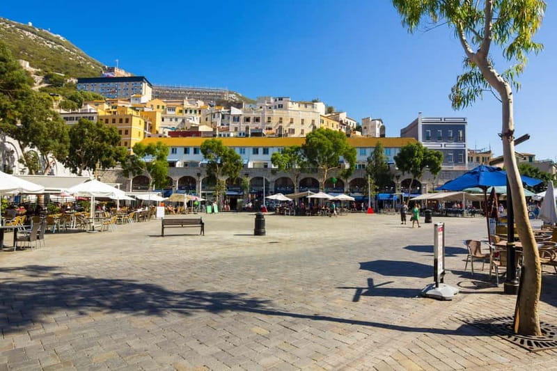 From Costa del Sol: Gibraltar Day Trip with Free Time - Price and what you actually get for about $53