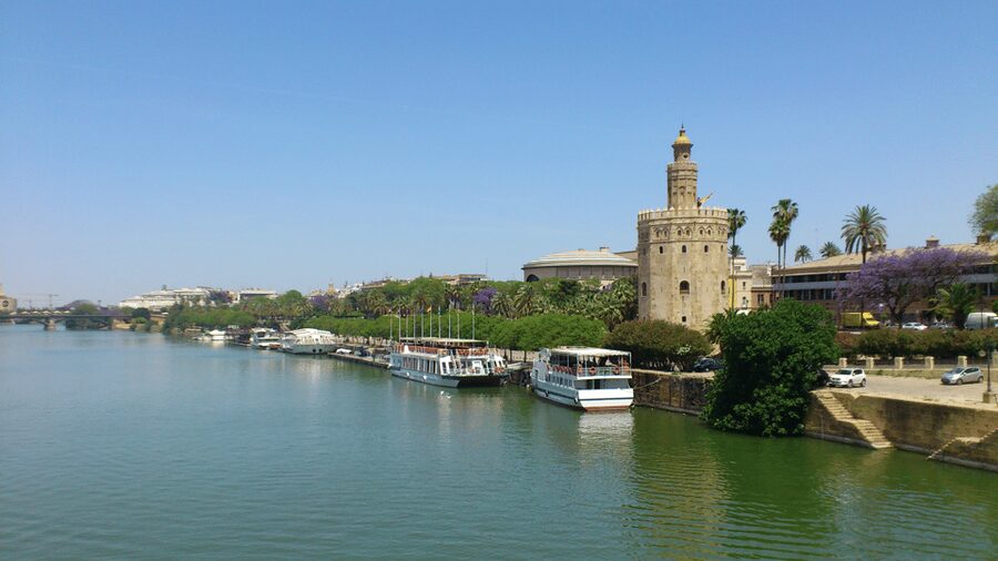 From Costa del Sol & Malaga: Seville Day Trip - Should you book this Seville Day Trip?