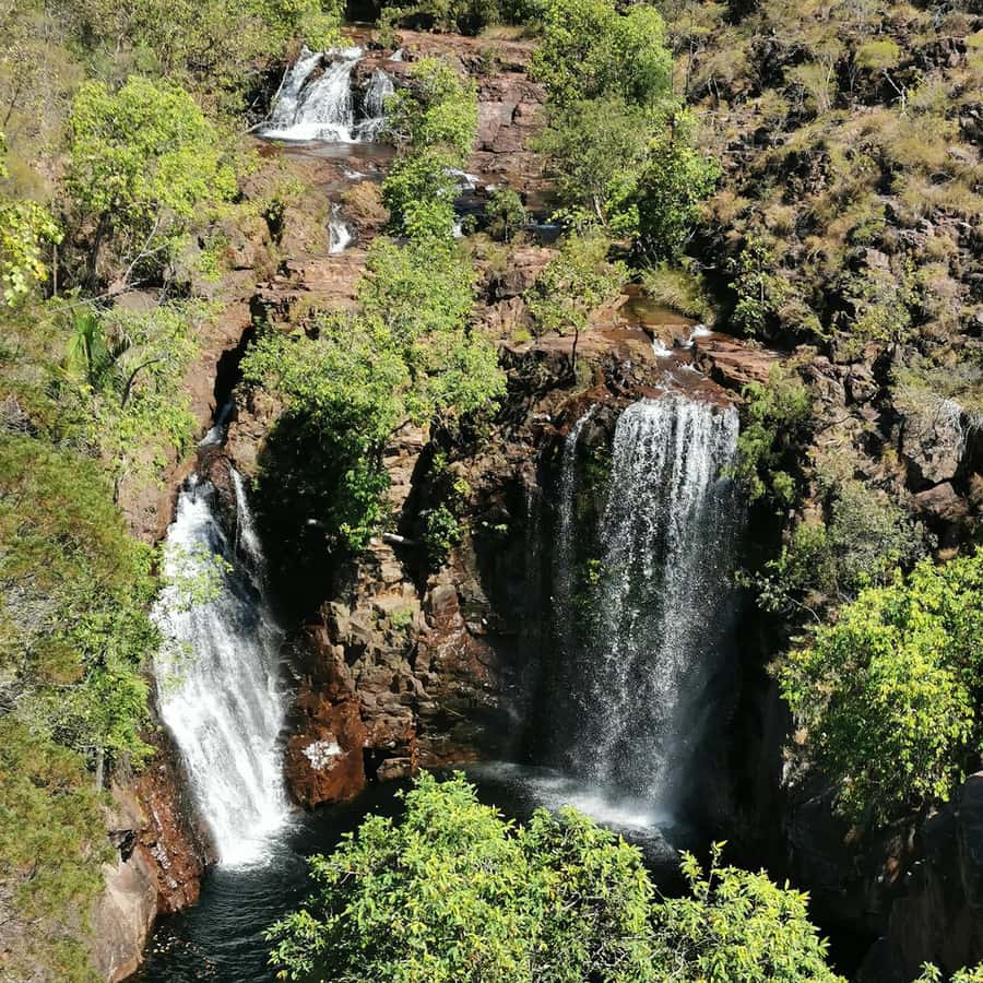 From Darwin: Litchfield National Park Small-Group Day Trip - How This 10-Hour Darwin to Litchfield Plan Feels Day-Long