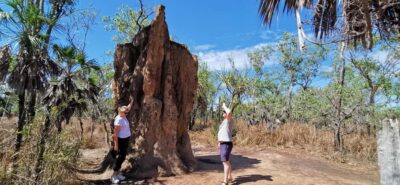 From Darwin: Litchfield National Park Small-Group Day Trip - Small Group Minivan Comfort: Getting Out of Darwin Without the Grind